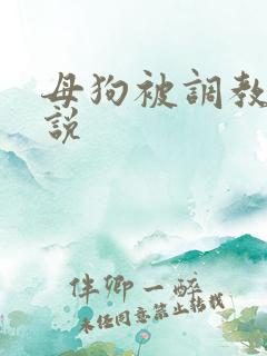 母狗被调教的小说