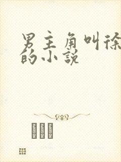 男主角叫徐卫阳的小说