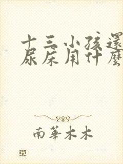 十三小孩还经常尿床用什么药好