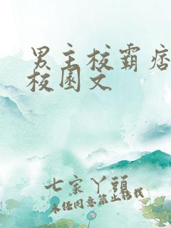 男主校霸痞帅的校园文