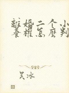 离婚二个小孩抚养权怎么判