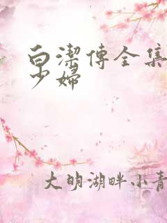 白洁传全集阅读少妇