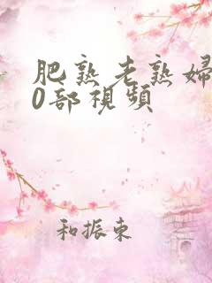 肥熟老熟妇500部视频