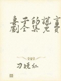 妻子的谎言电视剧全集免费观看最新