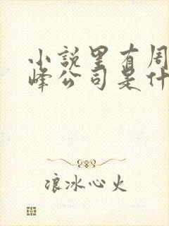 小说里有周晴奇峰公司是什么小说