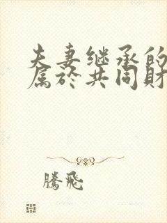 夫妻继承的遗产属于共同财产吗