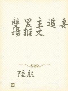 双男主追妻火葬场推文