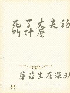 死了丈夫的女人叫什么