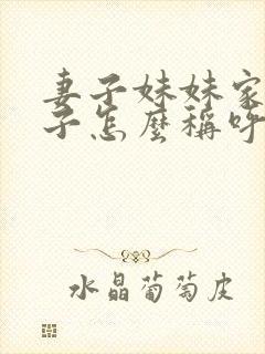 妻子妹妹家的孩子怎么称呼