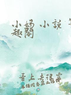 小妈 小说 笔趣阁