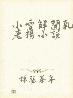 小雪解开乳罩给老杨小说
