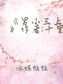 《男小三上位记》作者:十里半