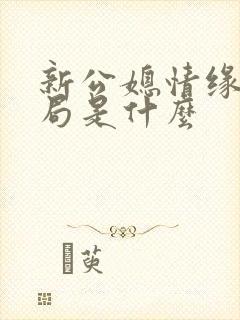 新公媳情缘大结局是什么