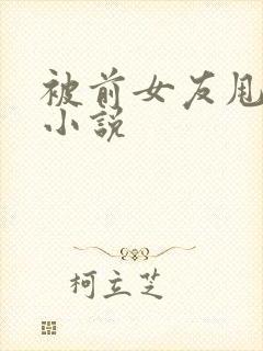 被前女友甩了的小说