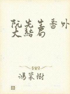 阮先生番外五篇大结局