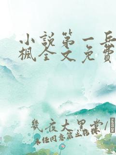 小说第一兵王于枫全文免费阅读