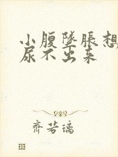 小腹坠胀想尿又尿不出来