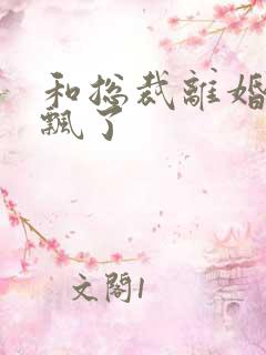 和总裁离婚后我飘了