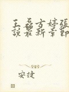 王磊方婷张芳小说最新章节阅读