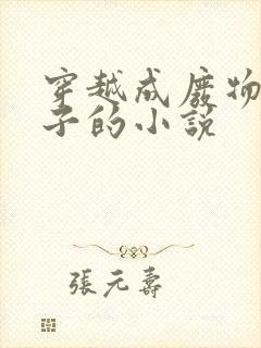 穿越成废物六皇子的小说