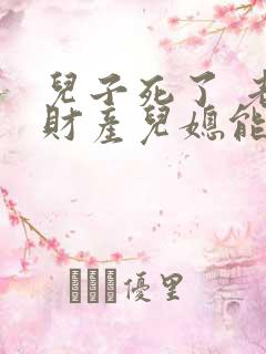 儿子死了 老人财产儿媳能继承吗