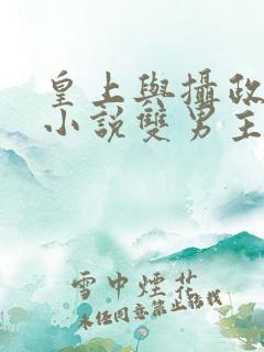 皇上与摄政王的小说双男主