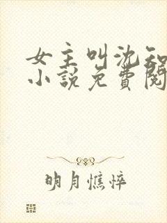 女主叫沈知夏的小说免费阅读