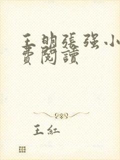 王明张强小说免费阅读