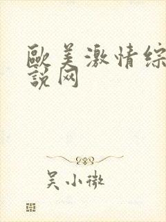 欧美激情综合小说网