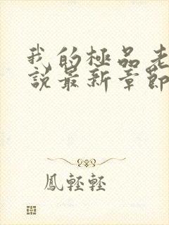 我的极品老婆小说最新章节