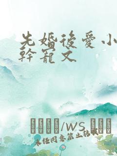 先婚后爱小说高干宠文