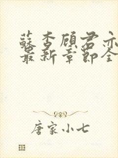 苏杳顾君亦小说最新章节全文免费阅读