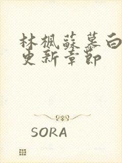 林枫苏慕白最新更新章节