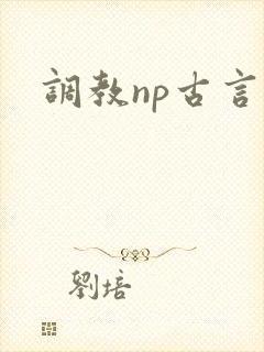 调教np古言