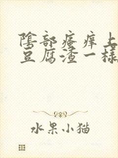 阴部瘙痒上面有豆腐渣一样的东西