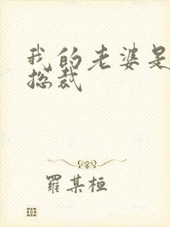 我的老婆是冰山总裁