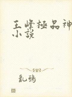 王峰极品神眼的小说