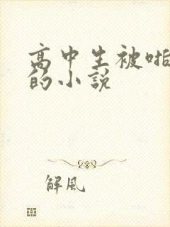 高中生被啪啪啪的小说