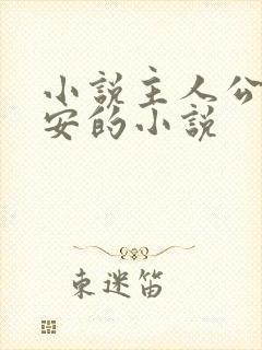 小说主人公李辰安的小说