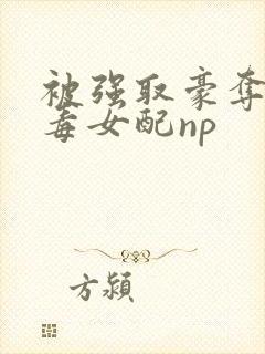 被强取豪夺的恶毒女配np