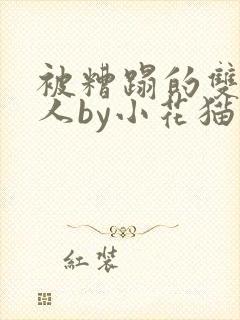 被糟蹋的双性美人by小花猫