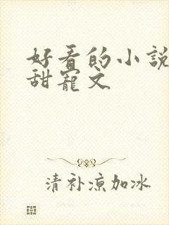 好看的小说推荐甜宠文