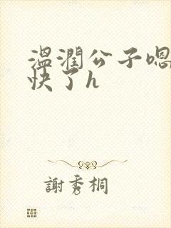 温润公子嗯啊太快了h