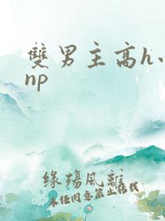 双男主高h小说np