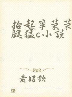 抬起宁荣荣的玉腿猛c小说