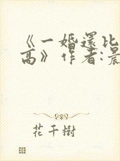 《一婚还比一婚高》作者:晨雾的光