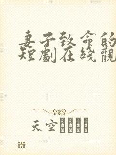 妻子致命的谎言短剧在线观看