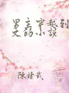 男主穿越到年代文的小说