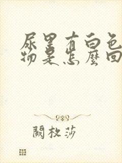 尿里有白色沉淀物是怎么回事