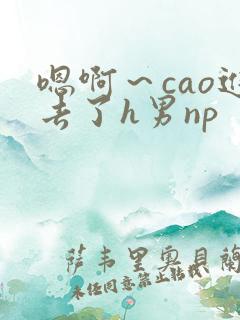 嗯啊～cao进去了h男np